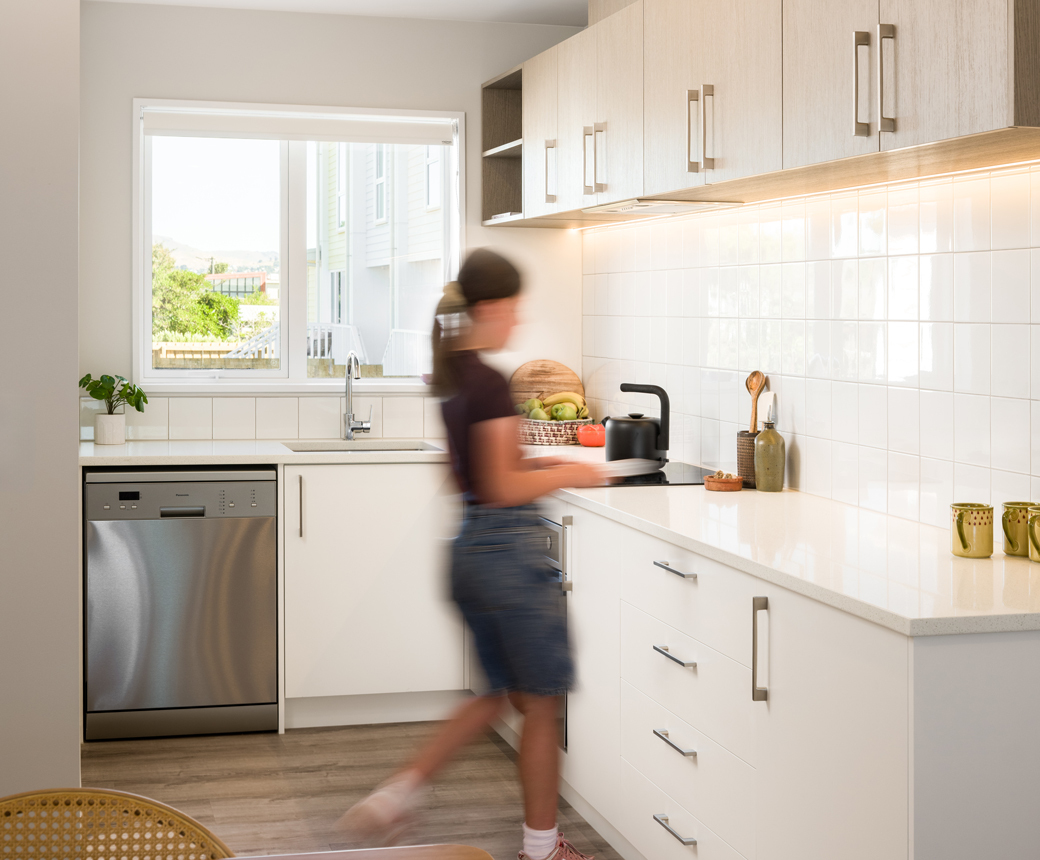 CTA Block Healthy Homes