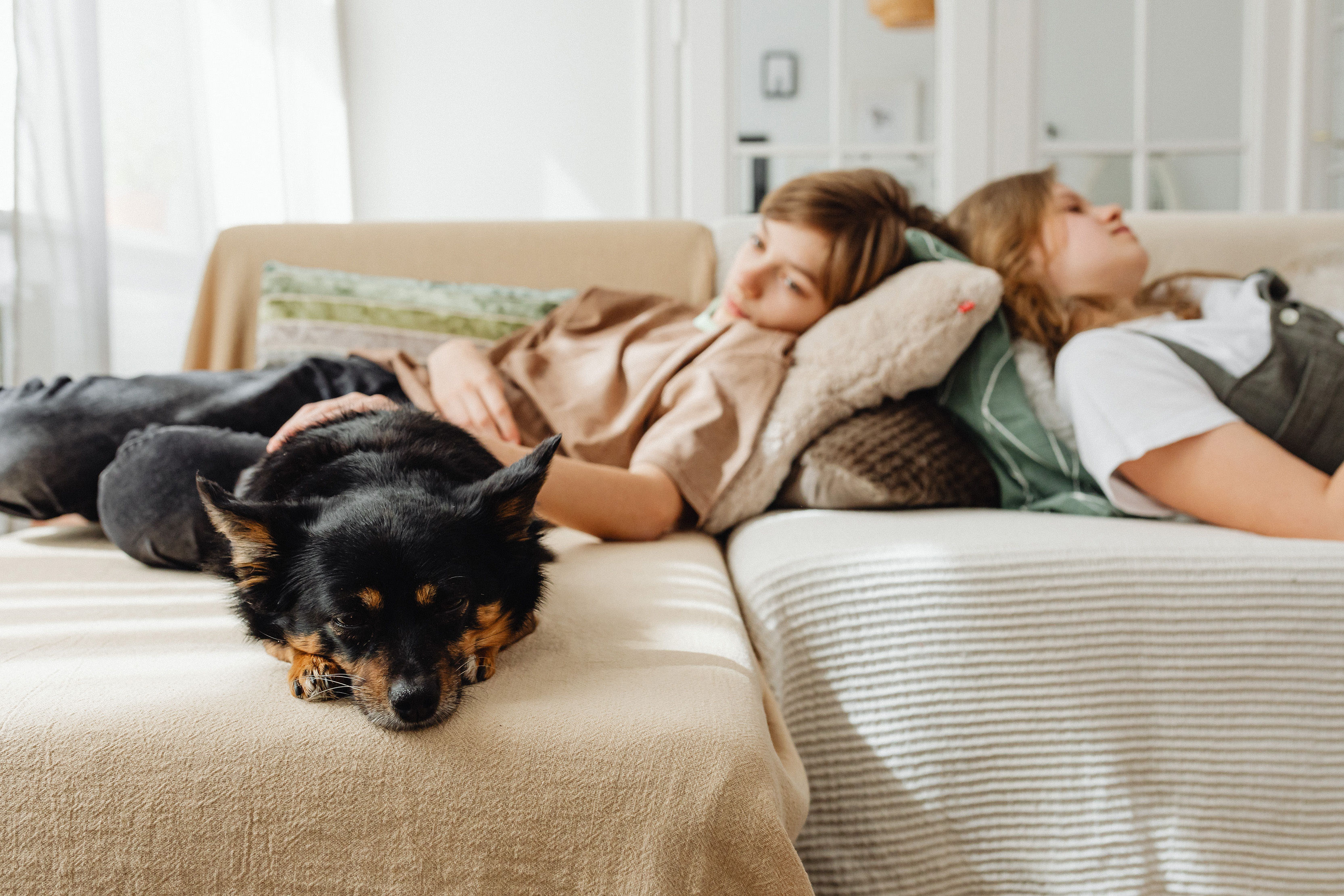 Dog and kids lying on couch