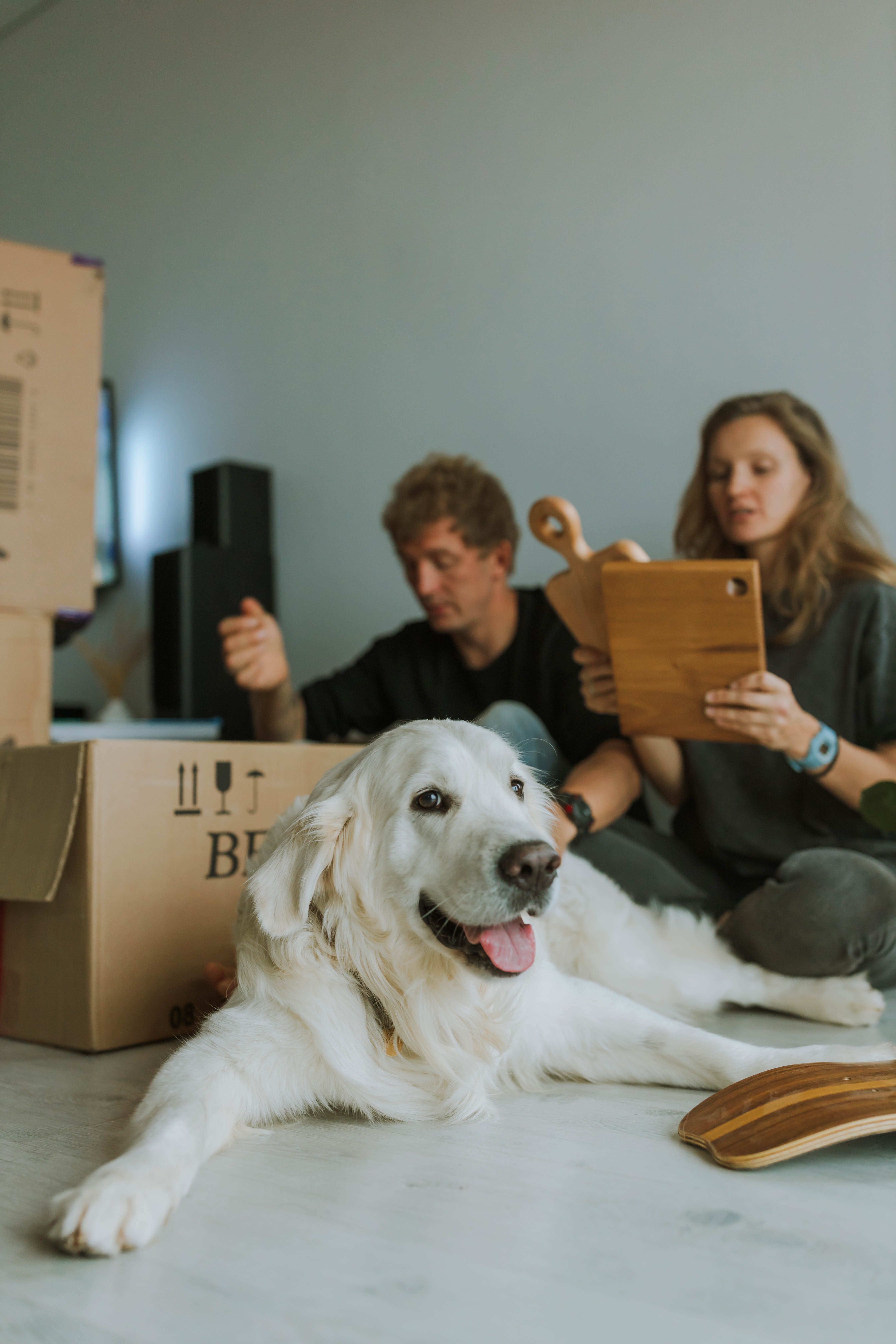 Dog with Family in background moving houses