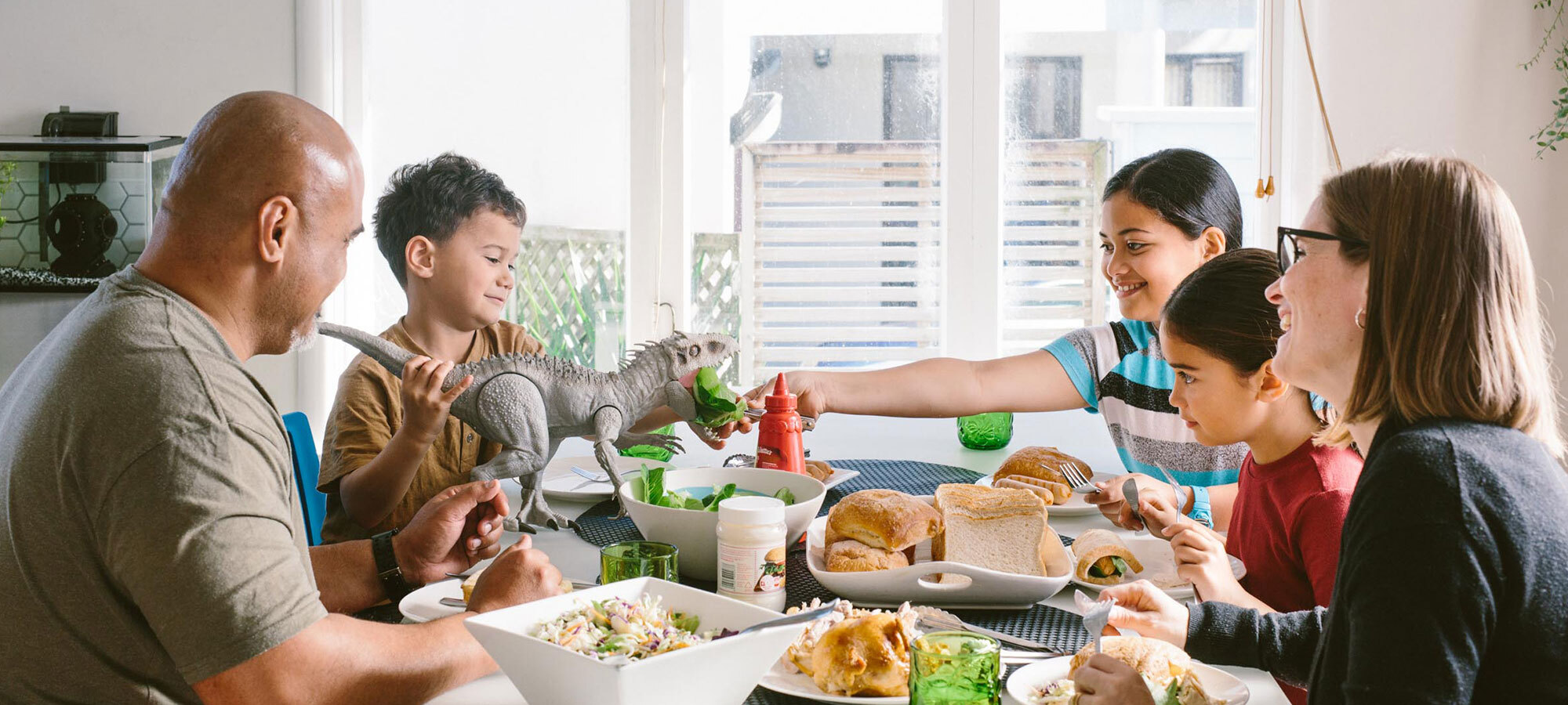 Healthy Homes Article Banner